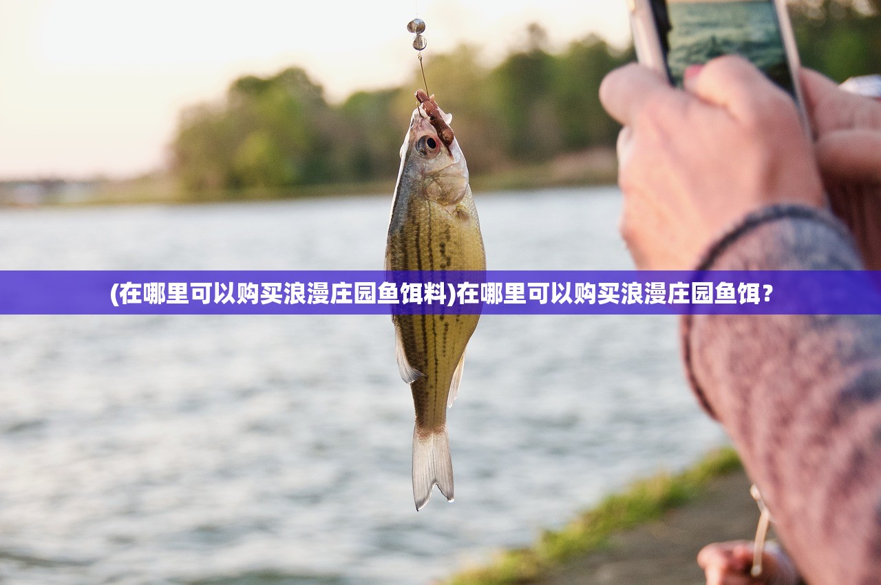 2023年澳门今晚开奖结果查询|探索生活中的小奇迹_简约版.9.861 2023年澳门今晚开奖结果查询|探索生活中的小奇迹_简约版.9.861