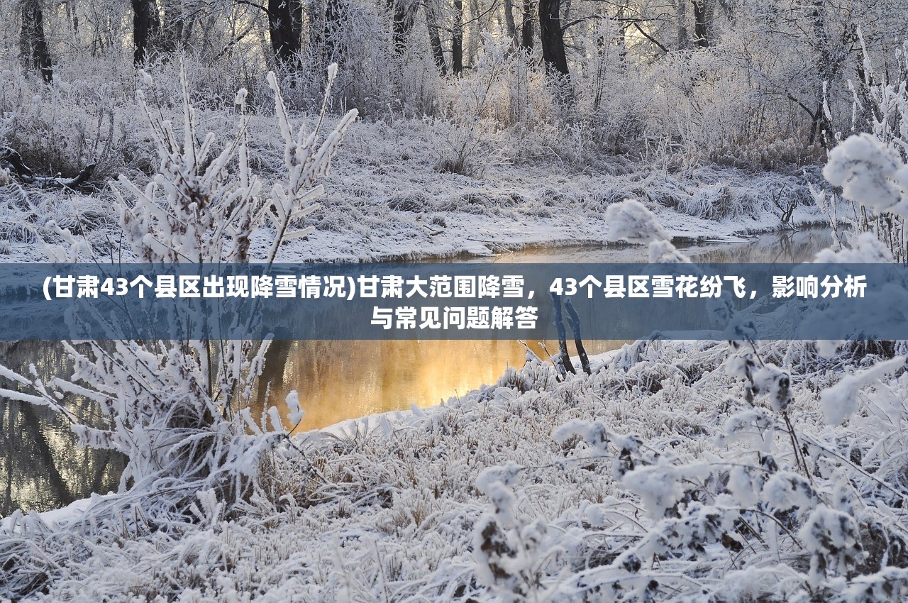 (甘肃43个县区出现降雪情况)甘肃大范围降雪，43个县区雪花纷飞，影响分析与常见问题解答