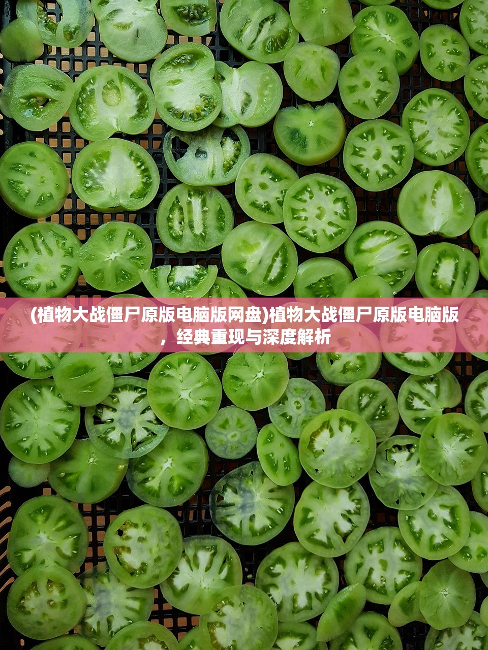 (植物大战僵尸原版电脑版网盘)植物大战僵尸原版电脑版，经典重现与深度解析