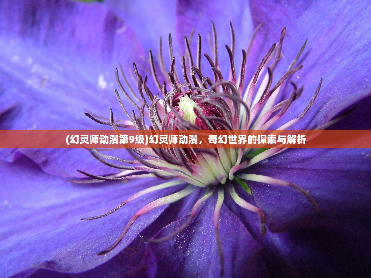 (幻灵师动漫第9级)幻灵师动漫，奇幻世界的探索与解析