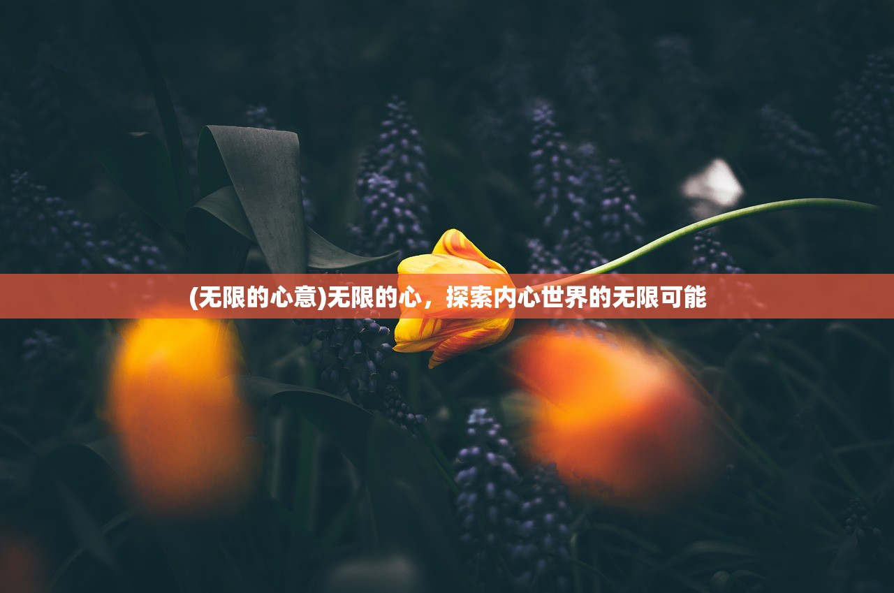 (无限的心意)无限的心，探索内心世界的无限可能