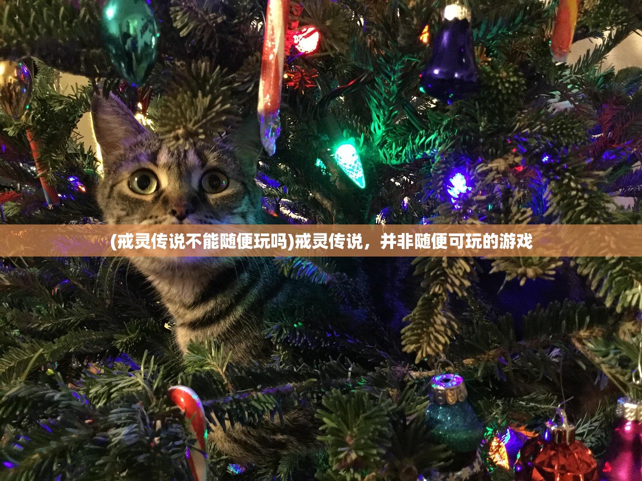 (戒灵传说不能随便玩吗)戒灵传说，并非随便可玩的游戏