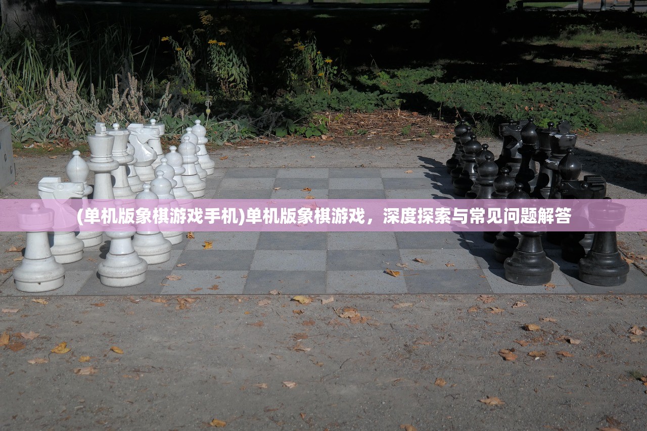 (单机版象棋游戏手机)单机版象棋游戏，深度探索与常见问题解答