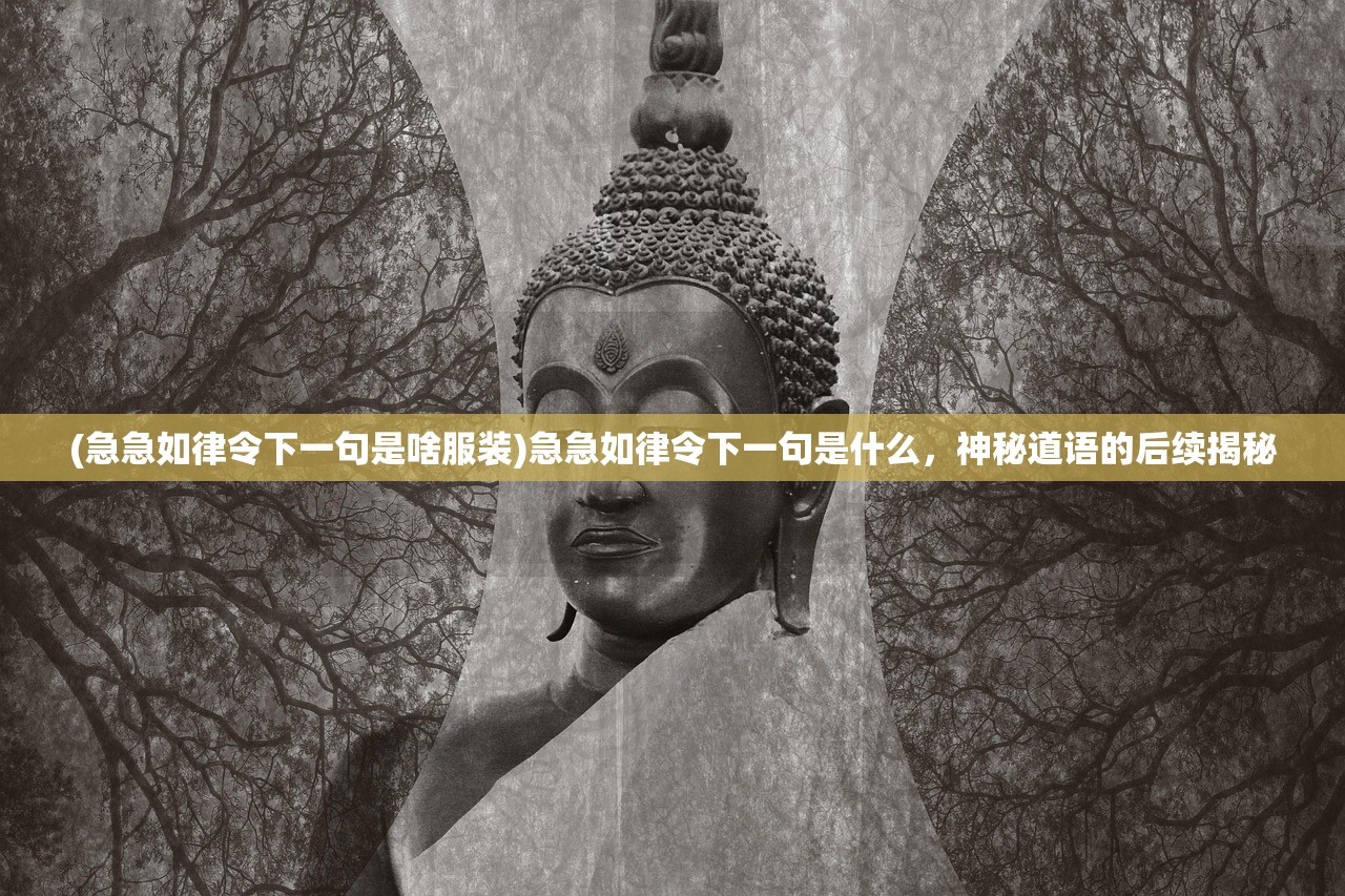 (急急如律令下一句是啥服装)急急如律令下一句是什么，神秘道语的后续揭秘