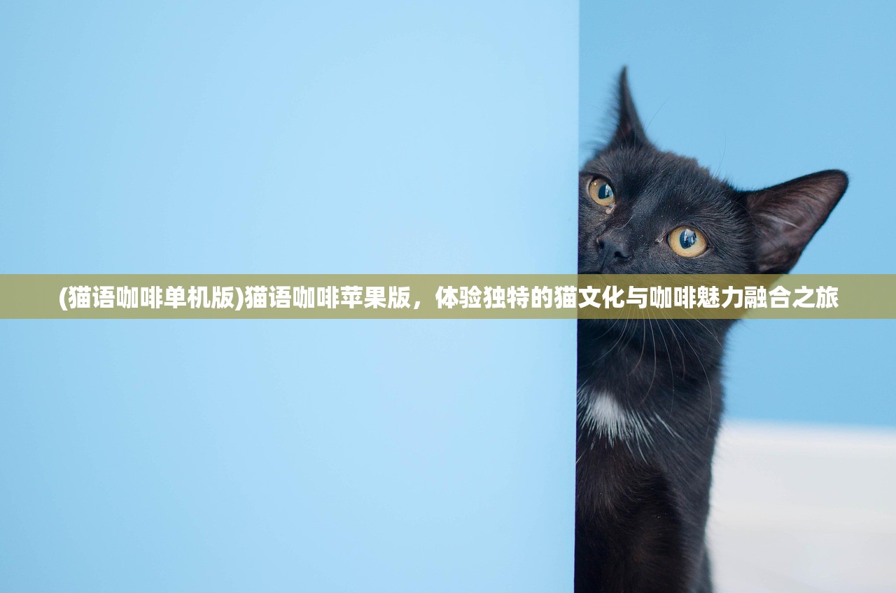 (猫语咖啡单机版)猫语咖啡苹果版，体验独特的猫文化与咖啡魅力融合之旅