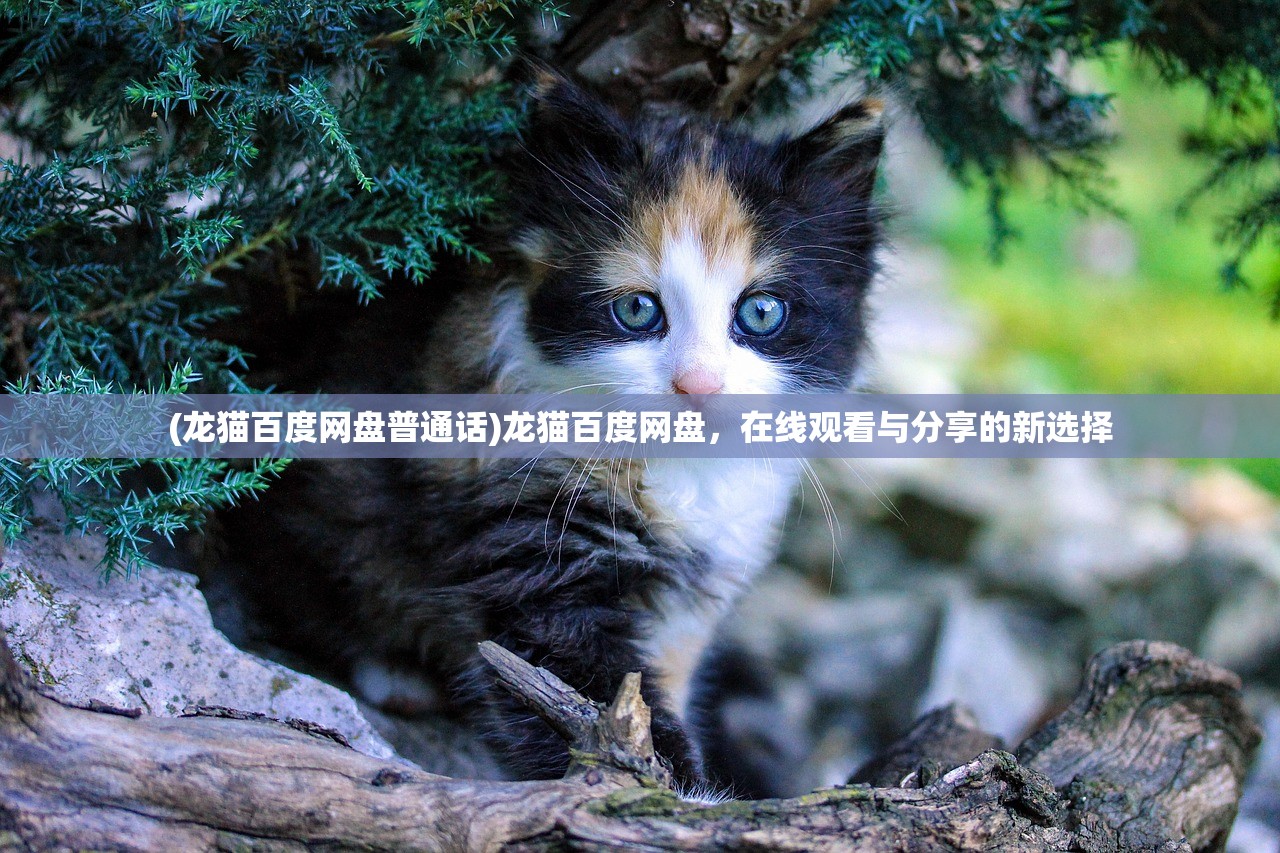 (龙猫百度网盘普通话)龙猫百度网盘，在线观看与分享的新选择