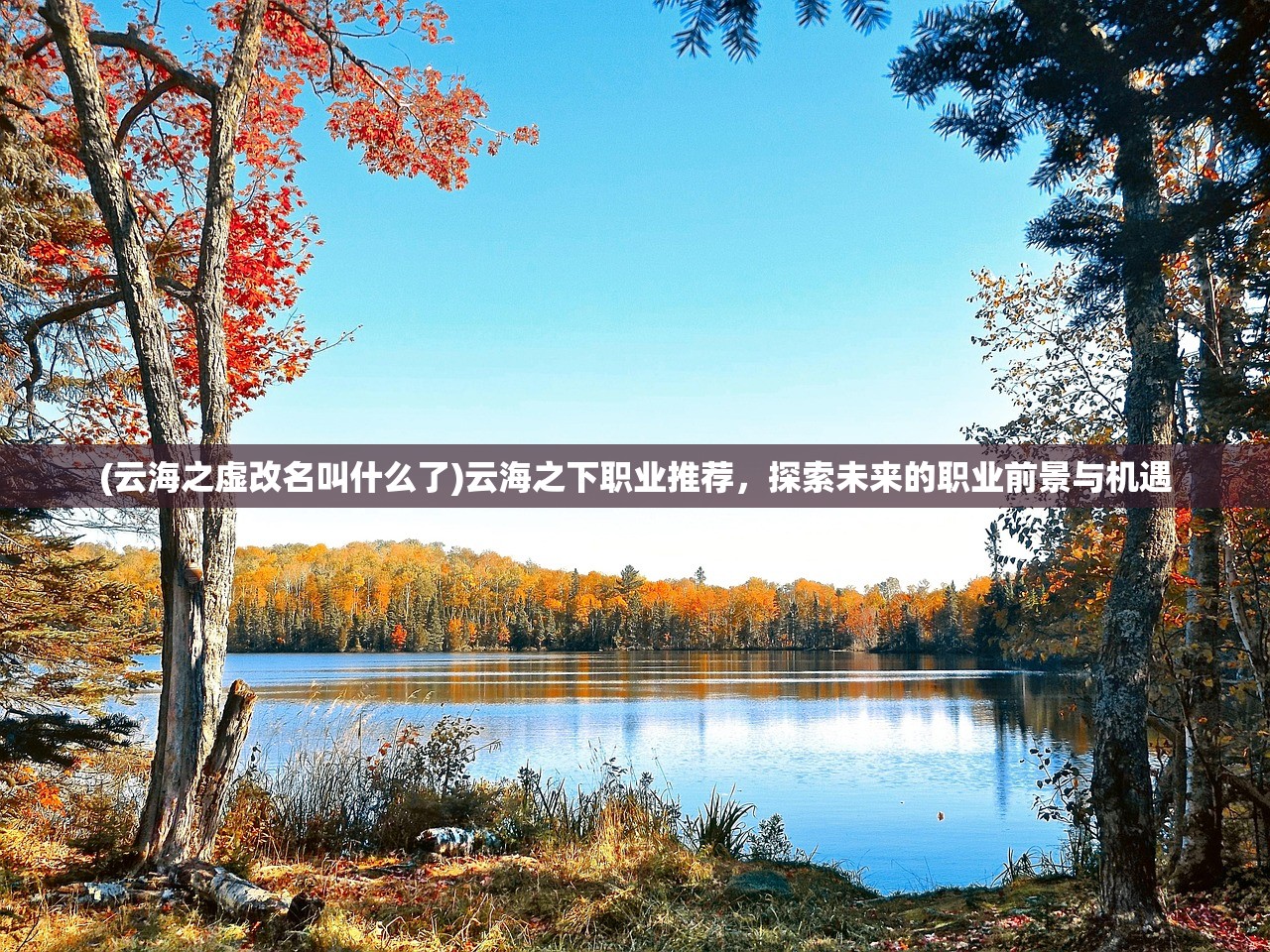 (云海之虚改名叫什么了)云海之下职业推荐，探索未来的职业前景与机遇